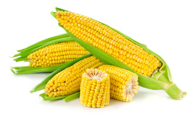 Corn isolated on white