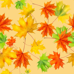 Fototapeta na wymiar Colorful background made of fallen autumn leaves