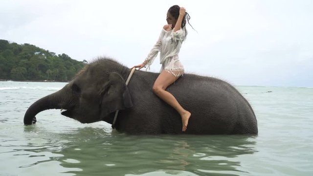 Young pretty happy woman with wet hair wearing white dress sitting on elephant in the sea over sky and island background