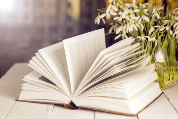 flower on the book in front of the window in the morning. Copy s