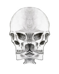Abstract drawing of the bizarre skull - pencil on paper