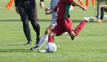 Fototapeta premium サッカー フットボール