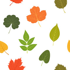Autumn leaves. Colorful seamless pattern. Vector illustration.