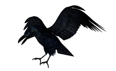 Black crow flying - 3D render