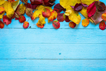 Colorful autumn leaves, over a wooden background