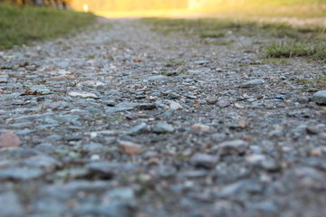 Schotterweg mit Gras und Abendsonne