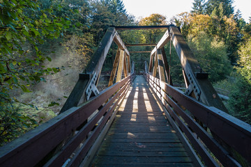 Walking Bridge At Tumwater Falls 2