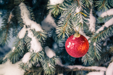 Snow covered Christmas tree and a red ball