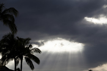 Fototapeta premium Light Rays Streaming Down From Storm Clouds With Palm Trees