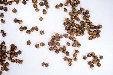 Roasted seeds of Lithocarpus fruit on white background