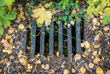 Laub verstopfter Schacht