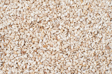 Sesame seeds texture