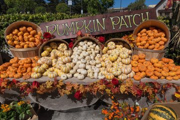 Pumpkin patch at fruit,vegetable stand display at farm,farmer ma