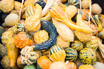 Pumpkin patch at fruit,vegetable stand display at farm,farmer ma