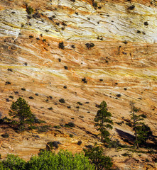 Patterns in the sandstone strata