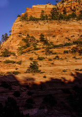 Patterns in the sandstone strata