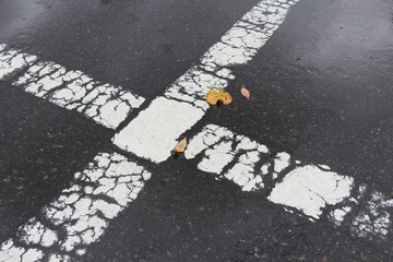 雨のアスファルトに濡れた落ち葉と白線