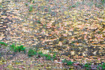 red-orange brick wall overgrown with grass 4