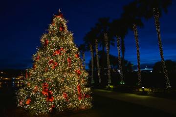 Christmas Tree at Night with White LIghts, Red Bows and Palm Trees