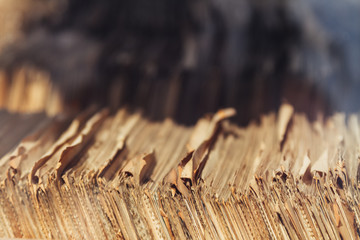 Old migrations paper records stacked in wooden box
