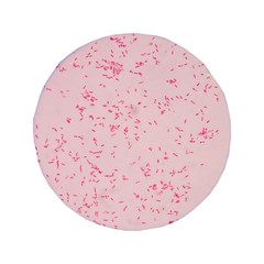 red gram negative bacilli on white background.