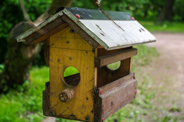 yello bird house in a lush garden