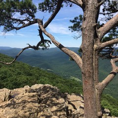 Appalachian Mountain View