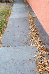 Obraz premium Concrete sidewalk next to a stucco wall with fallen leaves