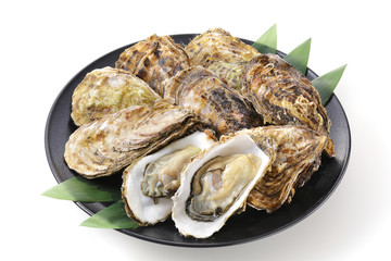 生牡蠣　Oysters