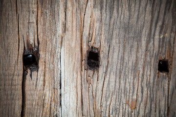 Old wooden pattern, Wood decay