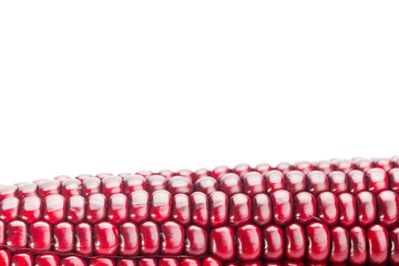fresh red color corn isolated on white background with copy space and clipping path