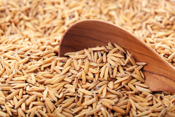 food background. rice grain in a wooden spoon and forming a background. with copyspace