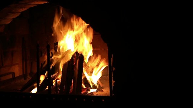 Bright burning wood, campfire macro video