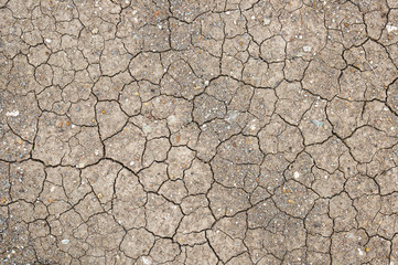 Cracks in the land in rural areas ( Closeup dried Soil  Background )