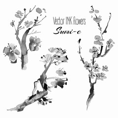 Vector oriental plants: pine branch, cherry, sakura, hand drawn 