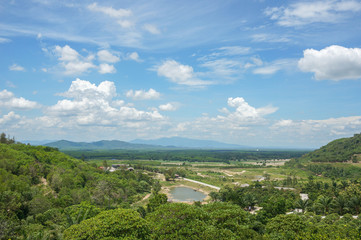 Fototapeta premium view of orchard fruit on the mountain with blue sky and cloud in Thailand
