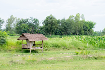 A hut of farmer at countryside thailand