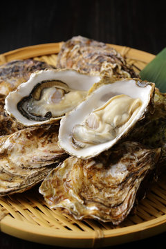 生牡蠣　Oysters