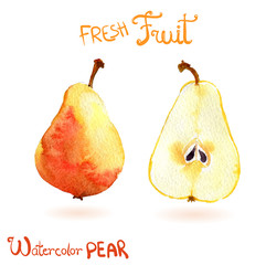 Bright vector watercolor hand drawn fruit pear