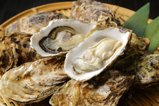 生牡蠣　Oysters