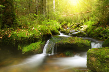 Mountain creek in the National park Sumava-Czech Republic