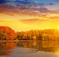 The pond in the woods at sunset, autumn landscape in forest.