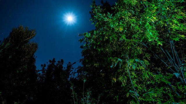 4k Night Life Moon Footage Time Lapse for different events!!