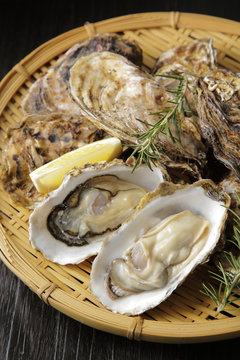 生牡蠣　Oysters
