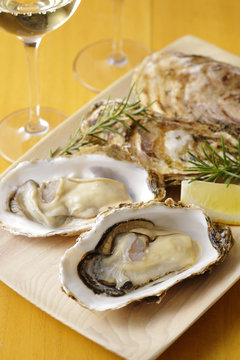生牡蠣　Oysters