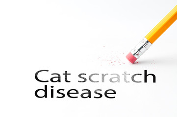 Closeup of pencil eraser and black ,at scratch disease text. Cat scratch disease. Pencil with...