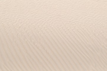 Sand Dune texture background