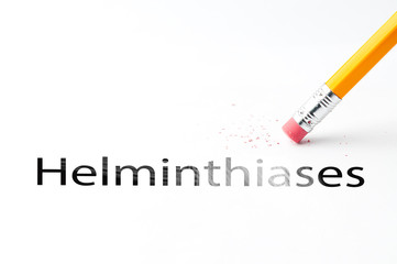 Closeup of pencil eraser and black helminthiases text. Helminthiases. Pencil with eraser.