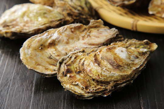 生牡蠣　Oysters