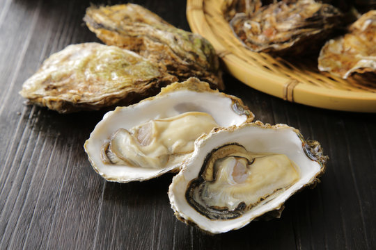 生牡蠣　Oysters